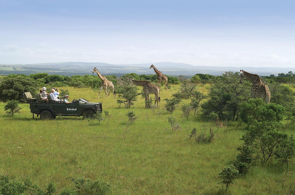 Kariega Game Reserve River Lodge Kenton on Sea Ngoại thất bức ảnh