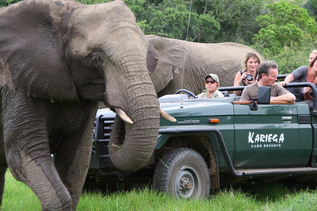 Kariega Game Reserve River Lodge Kenton on Sea Ngoại thất bức ảnh